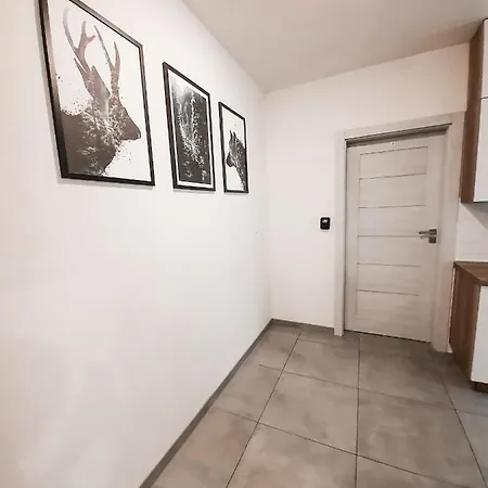 Apartament Arena No. 91 Quarto em Acomodações Particulares Cracóvia